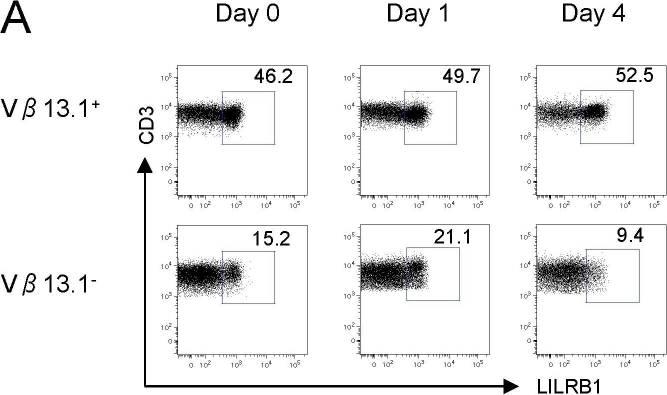 Fig.5.A showing Flow cytometry/Cell sorting from the publication: Functional characterization of HLA-G⁺ regulatory T cells in HIV-1 infection.