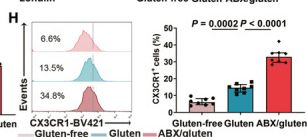 Fig.7.H showing Flow cytometry/Cell sorting in a Mus musculus (House mouse) sample from the publication: Gut microbiota-CRAMP axis shapes intestinal barrier function and immune responses in dietary gluten-induced enteropathy.