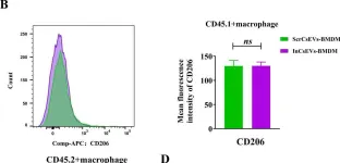 Fig.5.B showing Flow cytometry/Cell sorting from the publication: Clonorchis sinensis extracellular vesicles associated with Csi-let-7a-5p activate pro-inflammatory macrophages to induce biliary injury.