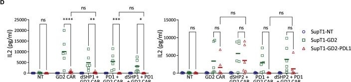 Fig.2.D from the publication: Exploration of T cell immune responses by expression of a dominant-negative SHP1 and SHP2.
