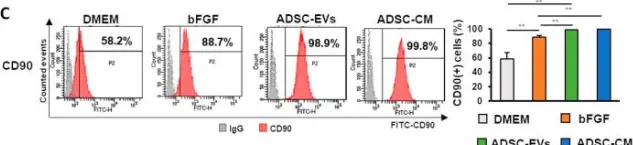 Fig.5.C showing Flow cytometry/Cell sorting in a Homo sapiens (Human) sample from the publication: Therapeutic Potential of Adipose-Derived Stem Cell-Conditioned Medium and Extracellular Vesicles in an In Vitro Radiation-Induced Skin Injury Model.