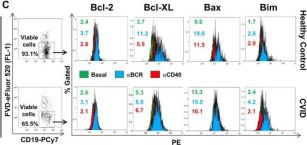 Bim (C34C5) Rabbit Monoclonal Antibody (PE Conjugate) | Cell