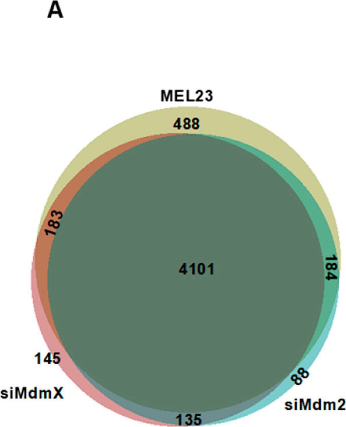 Fig.3.A from the publication: Analysis of p53-Independent Functions of the Mdm2-MdmX Complex Using Data-Independent Acquisition-Based Profiling.