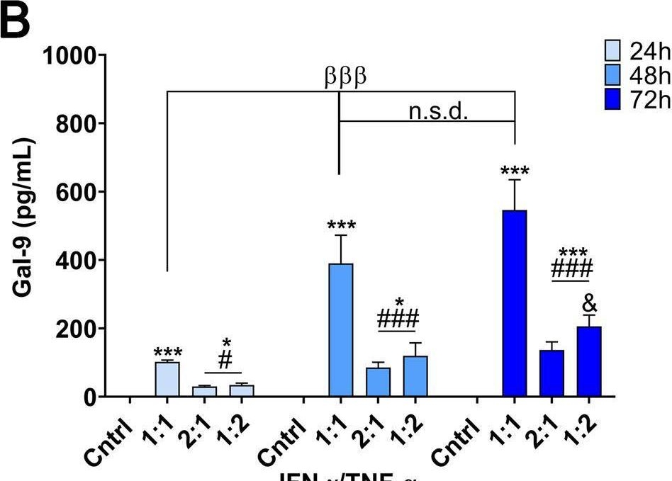 Fig.4.B showing Enzyme-linked immunosorbent assay from the publication: Fine-tuning licensing strategies to boost MSC-based immunomodulatory secretome.