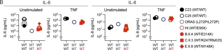 Fig.5.B from the publication: Novel genotypes, phenotypes, and triggers in humans with OTULIN haploinsufficiency.
