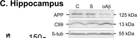 Fig.12.C showing Western Blotting in a Rattus norvegicus (Rat) sample from the publication: Alzheimer's disease related markers, cellular toxicity and behavioral deficits induced six weeks after oligomeric amyloid-β peptide injection in rats.