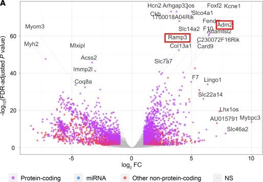 Fig.6.A showing Flow cytometry/Cell sorting from the publication: Overnutrition in mice impairs thyroid hormone biosynthesis and utilization, causing hypothyroidism, despite remarkable thyroidal adaptations.