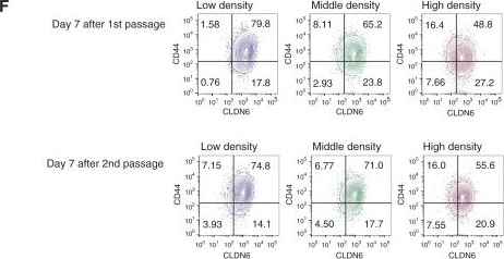 Fig.3.F showing Flow cytometry/Cell sorting in a Mus musculus (House mouse) sample from the publication: CLDN6 Expression Plasticity in Ovarian Cancer: Insights into Therapeutic Optimization for CLDN6-Targeted Immunotherapy.
