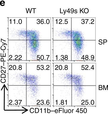 Fig.1.E showing Flow cytometry/Cell sorting in a Mus musculus (House mouse) sample from the publication: Synergized regulation of NK cell education by NKG2A and specific Ly49 family members.
