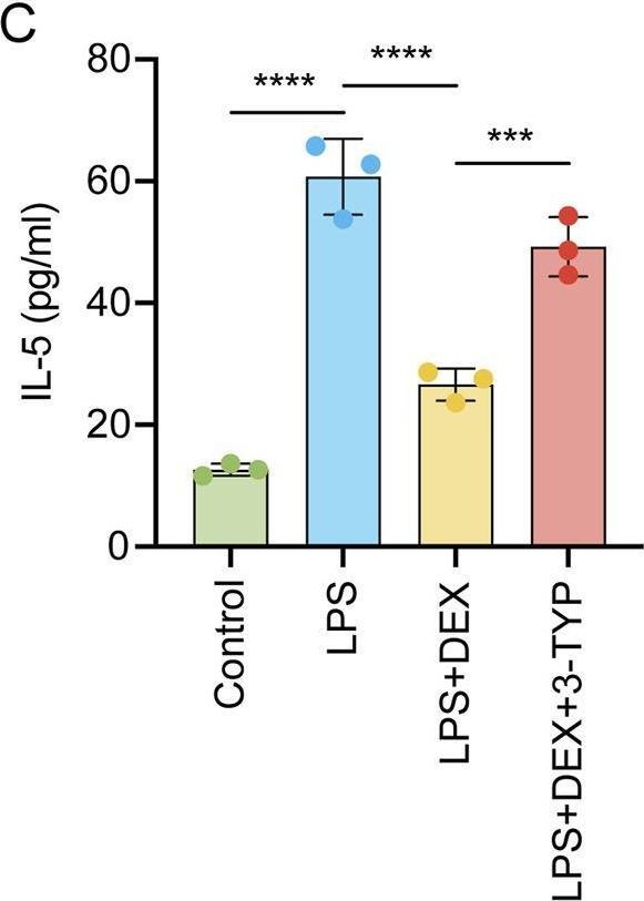 Fig.4.C showing Enzyme-linked immunosorbent assay in a Rattus norvegicus (Rat) sample from the publication: Dexmedetomidine reduces acute lung injury caused by LPS through the SIRT3 signaling pathway in vivo.