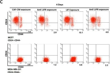 Fig.5.C showing Flow cytometry/Cell sorting in a Homo sapiens (Human) sample from the publication: Cancer-Associated Fibroblasts Regulate the Plasticity of Breast Cancer Stemness through the Production of Leukemia Inhibitory Factor.