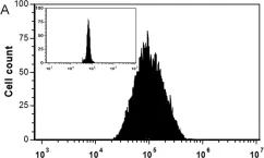 Fig.2.A showing Flow cytometry/Cell sorting from the publication: Contribution of stochastic partitioning at human embryonic stem cell division to NANOG heterogeneity.