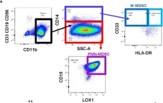 Fig.1.A showing Flow cytometry/Cell sorting in a Homo sapiens (Human) sample from the publication: Targeting myeloid-derived suppressor cells with gemcitabine to enhance efficacy of adoptive cell therapy in bladder cancer.