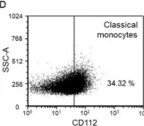 Fig.8.D showing Flow cytometry/Cell sorting in a Homo sapiens (Human) sample from the publication: Examination of the TIGIT, CD226, CD112, and CD155 Immune Checkpoint Molecules in Peripheral Blood Mononuclear Cells in Women Diagnosed with Early-Onset Preeclampsia.