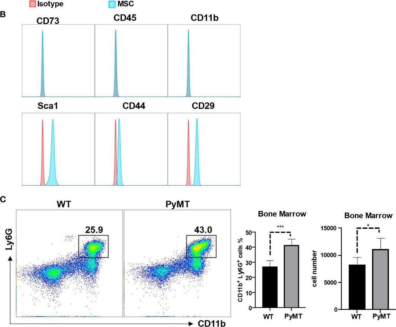 Fig.1.B showing Flow cytometry/Cell sorting in a Mus musculus (House mouse) sample from the publication: Protection of neutrophils by bone marrow mesenchymal stromal cells is enhanced by tumor-associated inflammatory cytokines.