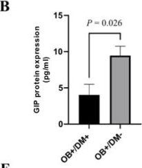 Fig.4.B from the publication: Effects of GLP-1 and GIP on cholinergic-induced contractility in isolated jejunal muscle from obese patients with and without type 2 diabetes mellitus.