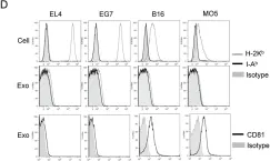 Fig.1.D showing Flow cytometry/Cell sorting from the publication: Tumor-derived exosomes confer antigen-specific immunosuppression in a murine delayed-type hypersensitivity model.