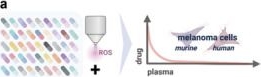 Fig.1.A from the publication: Medical Gas Plasma Technology Combines with Antimelanoma Therapies and Promotes Immune-Checkpoint Therapy Responses.