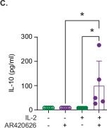 Fig.6.C showing Enzyme-linked immunosorbent assay from the publication: Genetic diversity of Collaborative Cross mice implicates FFAR3 as a target for ILC2 anti-inflammatory reprogramming.