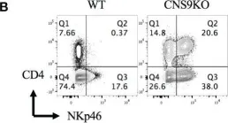 Fig.1.B showing Flow cytometry/Cell sorting in a Mus musculus (House mouse) sample from the publication: A cis-element at the Rorc locus regulates the development of type 3 innate lymphoid cells.