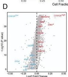 Fig.1.D showing Flow cytometry/Cell sorting in a Homo sapiens (Human) sample from the publication: CK2B Induces CD8+ T-Cell Exhaustion through HDAC8-Mediated Epigenetic Reprogramming to Limit the Efficacy of Anti-PD-1 Therapy in Non-Small-Cell Lung Cancer.