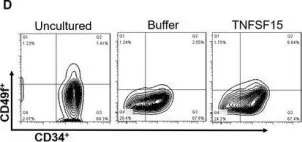 Fig.1.D showing Flow cytometry/Cell sorting in a Homo sapiens (Human) sample from the publication: TNFSF15 facilitates human umbilical cord blood haematopoietic stem cell expansion by activating Notch signal pathway.