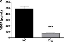 Fig.6.C showing Enzyme-linked immunosorbent assay from the publication: Chrysin induces cell death and inhibits migration and invasion in squamous cervical carcinoma using a three-dimensional cell culture model.