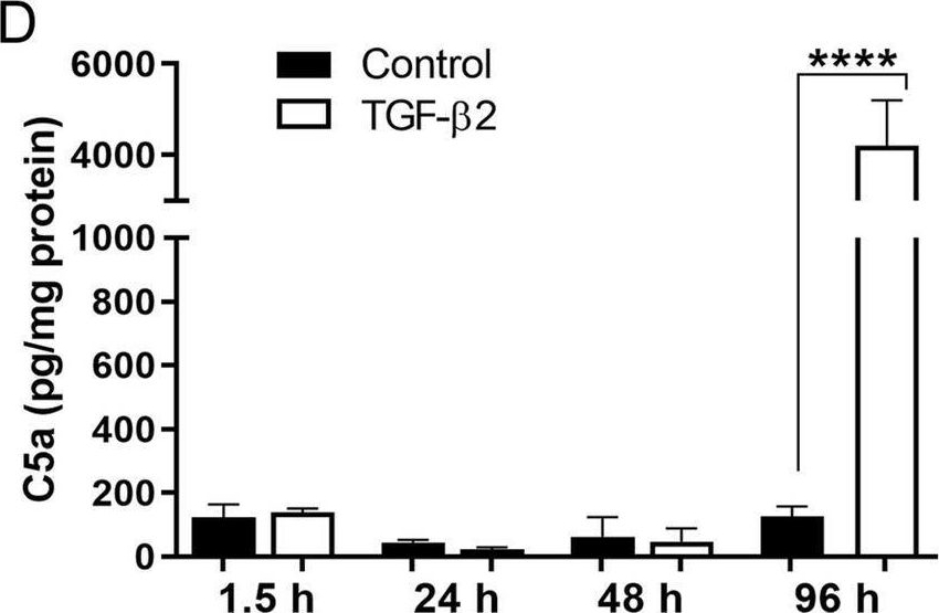 Fig.2.D showing Enzyme-linked immunosorbent assay in a Mus musculus (House mouse) sample from the publication: Complement activation contributes to subretinal fibrosis through the induction of epithelial-to-mesenchymal transition (EMT) in retinal pigment epithelial cells.