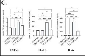 Fig.2.C from the publication: GV1001, hTERT Peptide Fragment, Prevents 5-Fluorouracil-Induced Mucositis by Inhibiting Mitochondrial Damages.