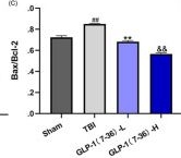 Fig.5.C from the publication: GLP-1(7-36) protected against oxidative damage and neuronal apoptosis in the hippocampal CA region after traumatic brain injury by regulating ERK5/CREB.