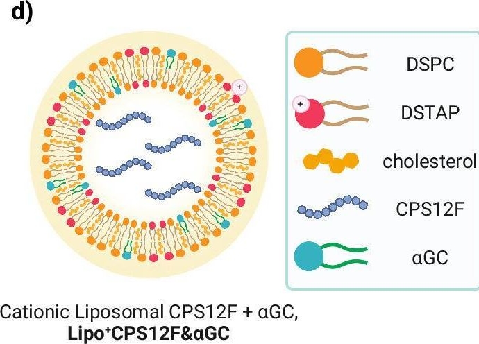 Fig.1.D from the publication: An intranasal cationic liposomal polysaccharide vaccine elicits humoral immune responses against Streptococcus pneumoniae.