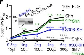 Fig.4.F from the publication: Two-way Dispatched function in Sonic hedgehog shedding and transfer to high-density lipoproteins.