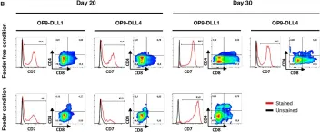 Fig.3.B showing Flow cytometry/Cell sorting from the publication: Rapid and Reproducible Differentiation of Hematopoietic and T Cell Progenitors From Pluripotent Stem Cells.