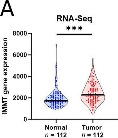 Fig.2.A showing Flow cytometry/Cell sorting in a Homo sapiens (Human) sample from the publication: Multi-omics and experimental analysis unveil theragnostic value and immunological roles of inner membrane mitochondrial protein (IMMT) in breast cancer.