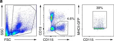 Fig.7.A showing Flow cytometry/Cell sorting in a Mus musculus (House mouse) sample from the publication: Effector CD4+ T cells recognize intravascular antigen presented by patrolling monocytes.