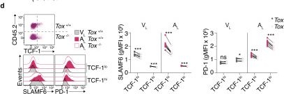 Fig.6.C showing Flow cytometry/Cell sorting in a Mus musculus (House mouse) sample from the publication: Persistence of self-reactive CD8+ T cells in the CNS requires TOX-dependent chromatin remodeling.