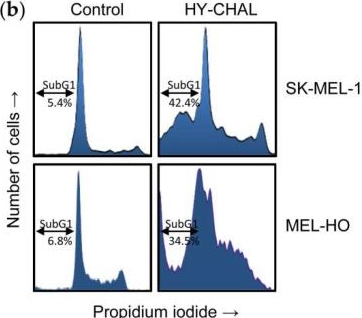 Fig.2.B showing Flow cytometry/Cell sorting from the publication: Apoptosis Pathways Triggered by a Potent Antiproliferative Hybrid Chalcone on Human Melanoma Cells.