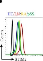 Fig.2.E showing Flow cytometry/Cell sorting in a Homo sapiens (Human) sample from the publication: CRAC Channel Controls the Differentiation of Pathogenic B Cells in Lupus Nephritis.