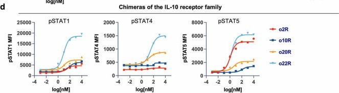 Fig.1.D showing Flow cytometry/Cell sorting in a Mus musculus (House mouse) sample from the publication: Expanding the cytokine receptor alphabet reprograms T cells into diverse states.
