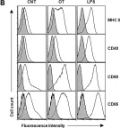 Fig.1.B showing Flow cytometry/Cell sorting in a Mus musculus (House mouse) sample from the publication: Orientia tsutsugamushi subverts dendritic cell functions by escaping from autophagy and impairing their migration.