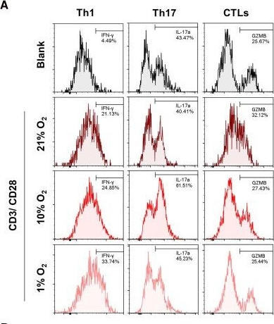 Fig.5.A showing Flow cytometry/Cell sorting in a Homo sapiens (Human) sample from the publication: A Preclinical State of Graves' Ophthalmopathy Characterized by Hypoxia of T-cells Identified via Multiomics Analysis.