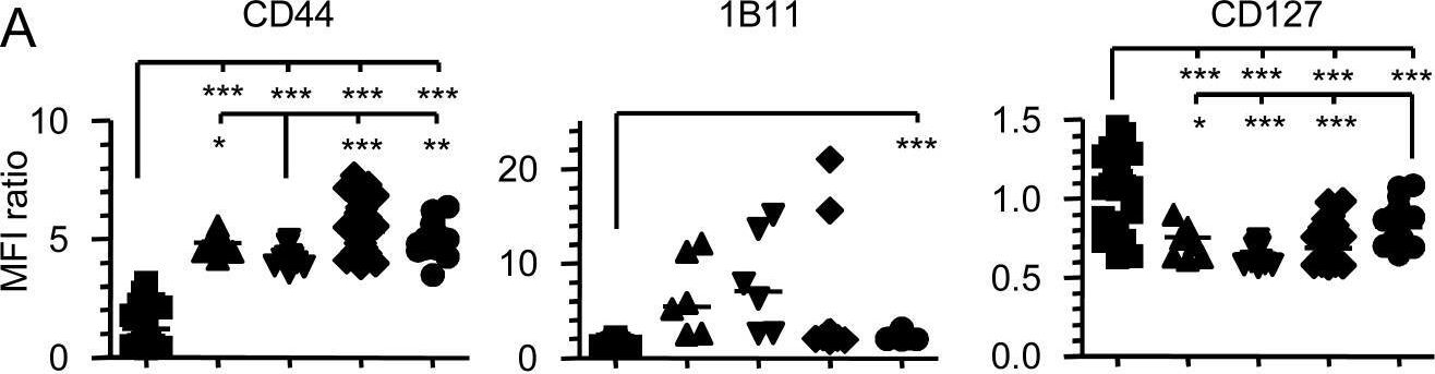 Fig.4.A showing Flow cytometry/Cell sorting from the publication: CD40-activated B cells can efficiently prime antigen-specific naïve CD8+ T cells to generate effector but not memory T cells.