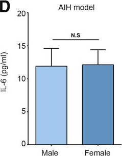 Fig.10.D showing Enzyme-linked immunosorbent assay from the publication: Ubiquitin-Conjugating Enzyme E2O Primes Hepatocytes to Restore Immune Tolerance in Autoimmune Hepatitis via Inhibiting Y-Box Binding Protein 1/Interleukin-6 Axis.