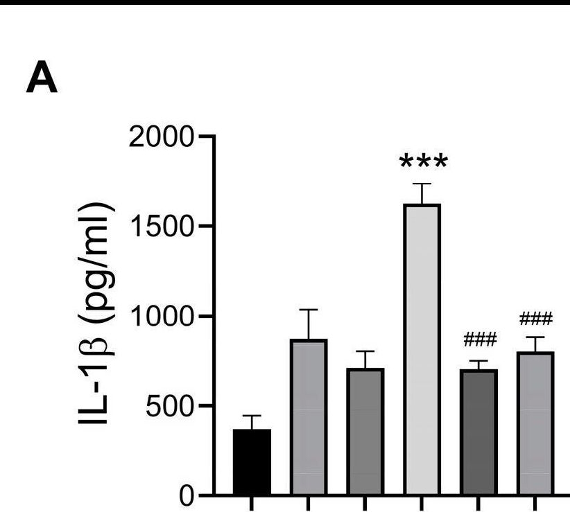 Fig.5.A showing Enzyme-linked immunosorbent assay from the publication: Methamphetamine Enhancement of HIV-1 gp120-Mediated NLRP3 Inflammasome Activation and Resultant Proinflammatory Responses in Rat Microglial Cultures.