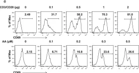 Fig.3.E showing Flow cytometry/Cell sorting from the publication: Arachidonic acid-regulated calcium signaling in T cells from patients with rheumatoid arthritis promotes synovial inflammation.