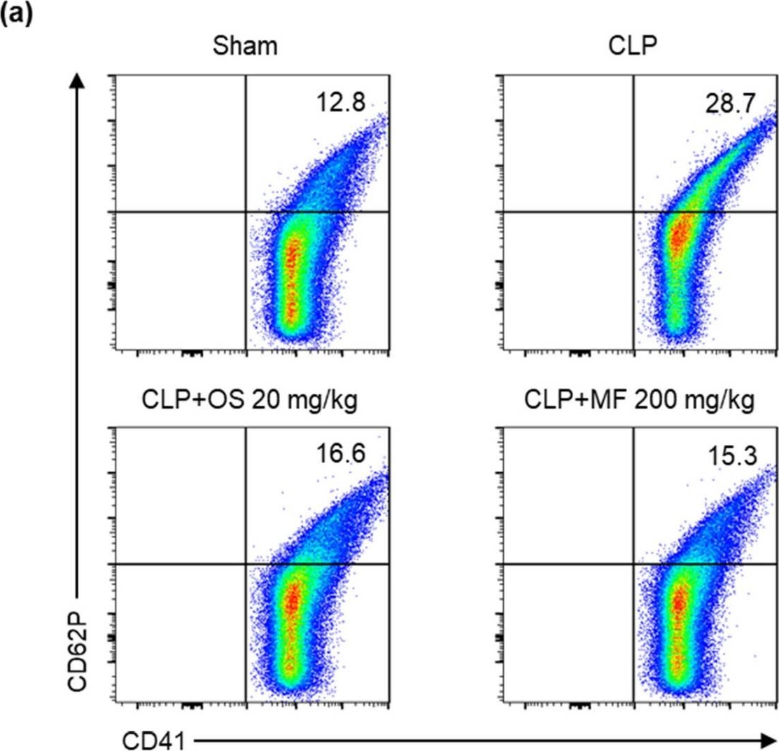 Fig.5.A showing Flow cytometry/Cell sorting in a Mus musculus (House mouse) sample from the publication: Myristica fragrans Extract Inhibits Platelet Desialylation and Activation to Ameliorate Sepsis-Associated Thrombocytopenia in a Murine CLP-Induced Sepsis Model.