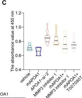 Fig.2.C from the publication: APOA1 Is a Novel Marker for Preeclampsia.