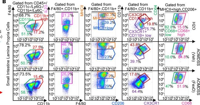 Fig.7.B showing Flow cytometry/Cell sorting from the publication: Farnesoid X receptor mediates macrophage-intrinsic responses to suppress colitis-induced colon cancer progression.