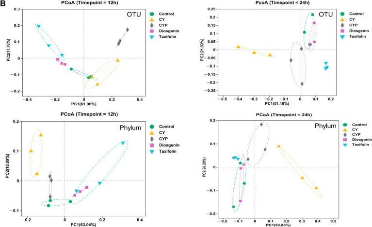 Fig.2.B from the publication: Chinese Yam and Its Active Components Regulate the Structure of Gut Microbiota and Indole-like Metabolites in Anaerobic Fermentation In Vitro.