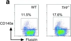 135902) Purified anti-mouse CD140a [APA5]; Monoclonal
